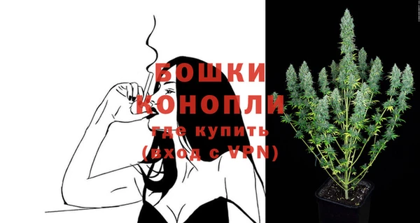 стаф Богородицк