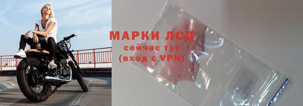 стаф Богородицк