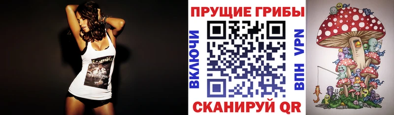 Псилоцибиновые грибы мицелий  Великий Устюг 