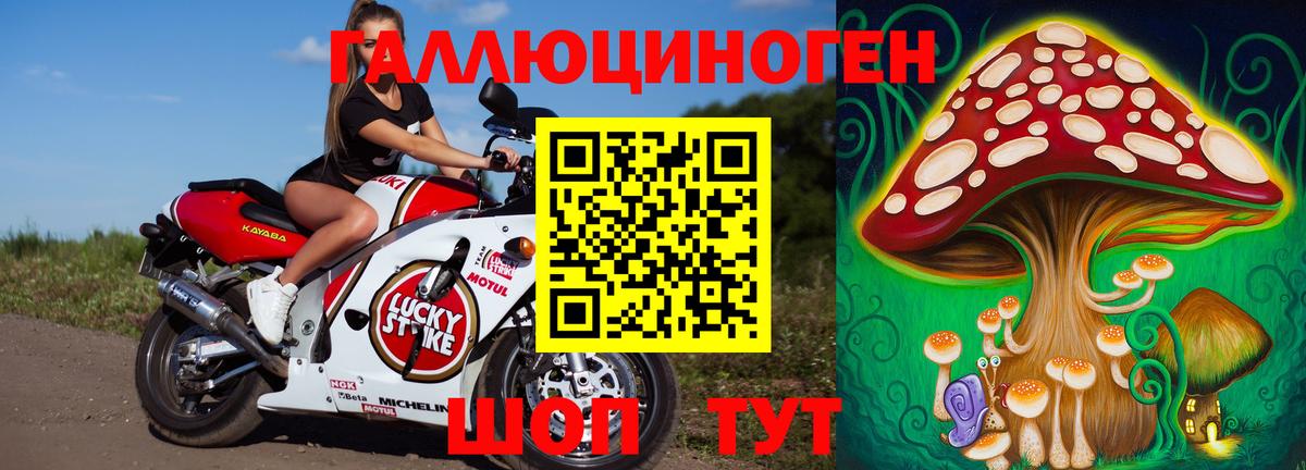 Псилоцибиновые грибы прущие грибы  Вход с VPN  Великий Устюг  Галлюциногенные грибы Psilocybe 