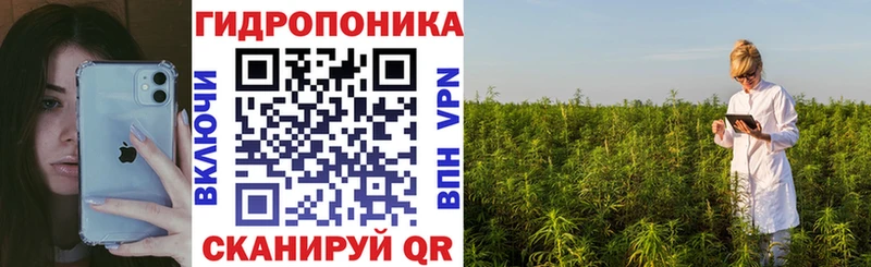 Каннабис White Widow ссылка на мегу как зайти Великий Устюг